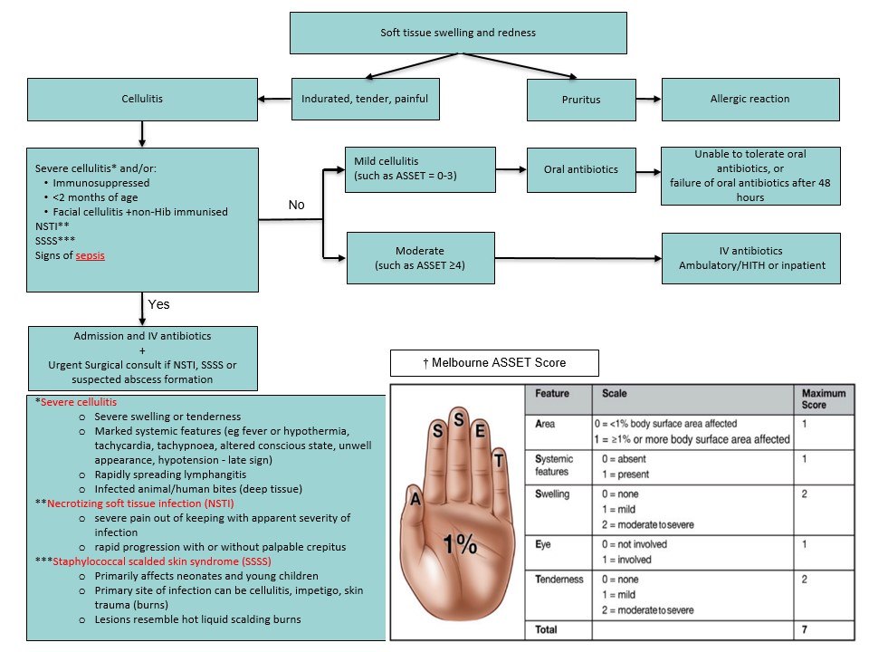 CPG Flowchart cellulitis Aug 2026